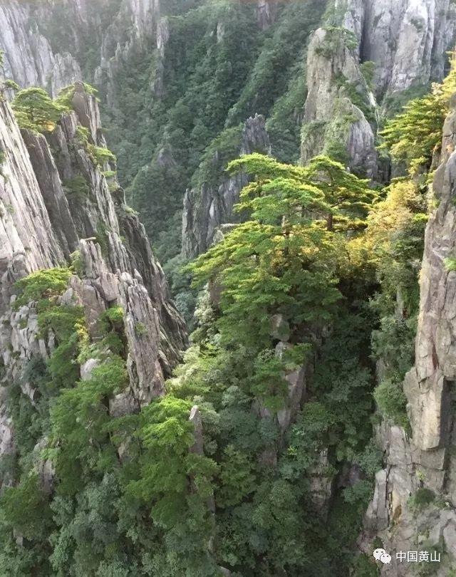 于正新剧开机再次讽刺祝绪丹，把人情冷暖展现得淋漓尽致